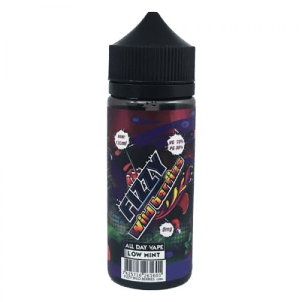 MOHAWK & CO FIZZY WILD BERRIES 100ML SHORTFILL E LIQUID 70VG VAPE