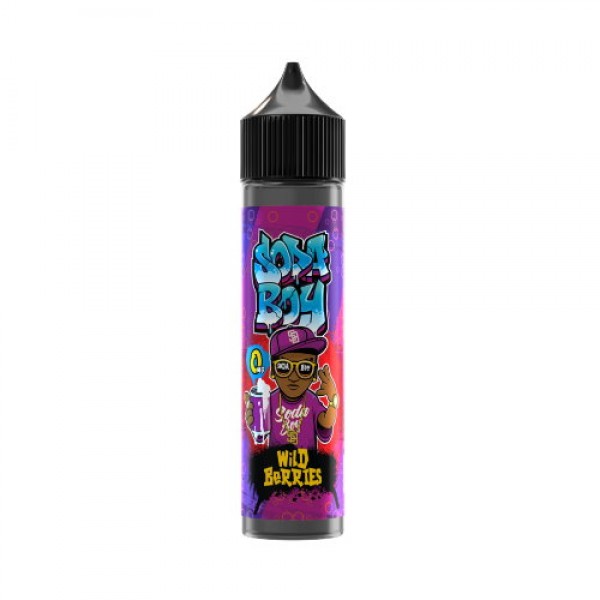 WILD BERRIES E-LIQUID BY SODA BOY 50ML SHORTFILL 70VG VAPE